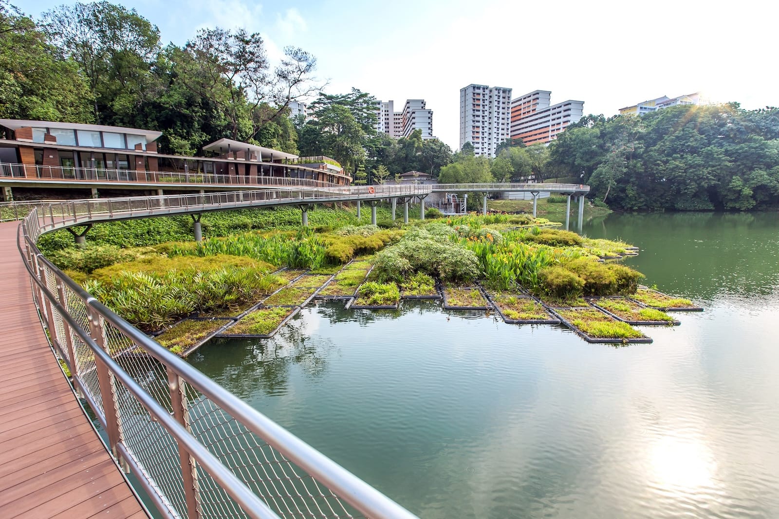 Wooden walkway over lake with floating vegetated platforms and city buildings in background.